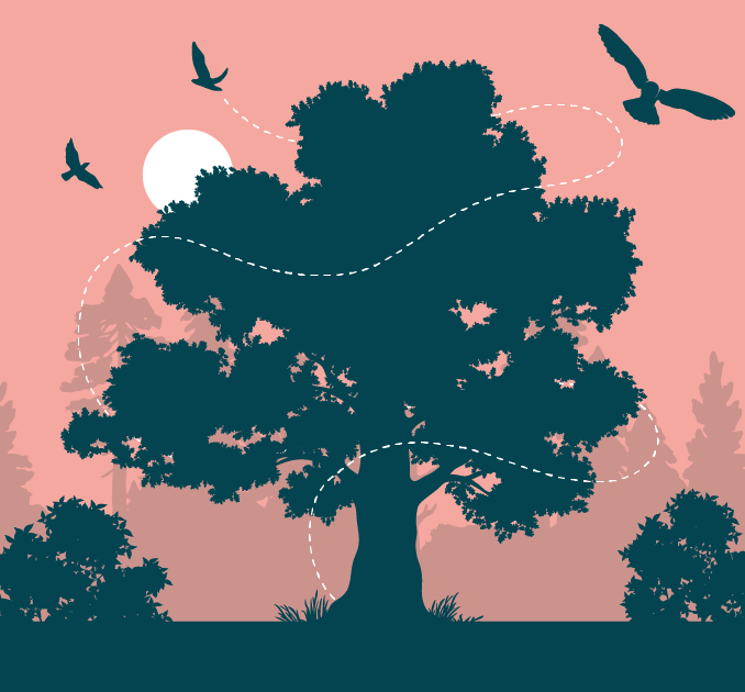 Climate & Environment Special Draw  life skills illustration