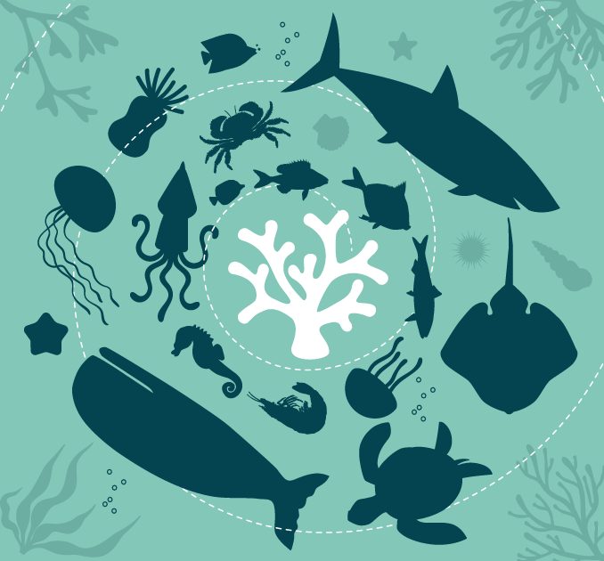 Climate & Environment Special Draw Marine illustration
