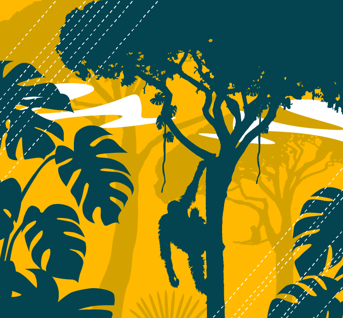 Climate & Environment Special Draw  Museums illustration
