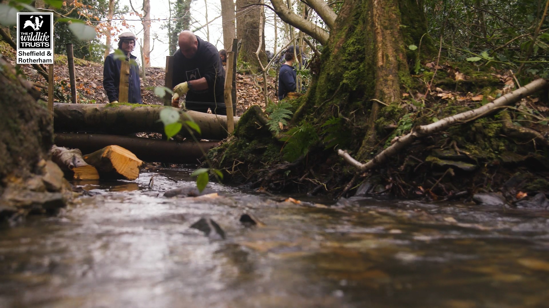 Sheffield Wildlife Trust